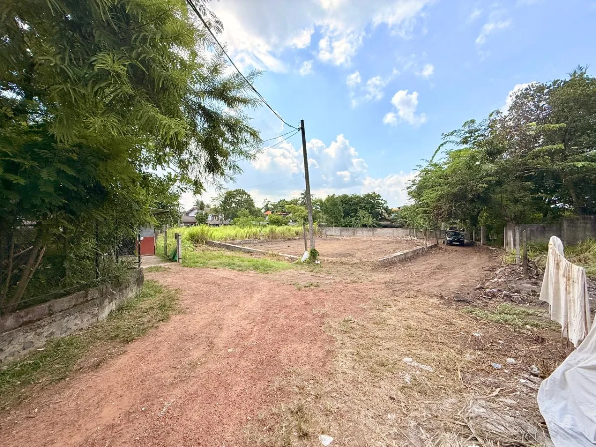 Boralesgamuwa Town